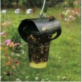 Hanging Asian Hornet Trap