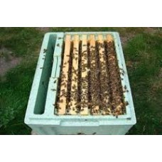 £150.00 BALANCE PAYMENT for a Colony of Sheffield Bred Bees YOU HAVE ALREADY ORDERED and paid a £50 Deposit. Balance to be paid before collection.