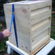 Hive Strap - 2.5m x 25mm - Economy - Buckle - No Ratchet
